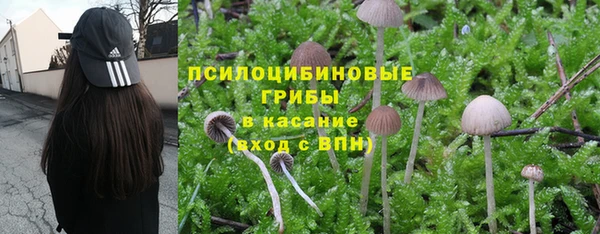 тгк Краснотурьинск